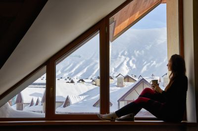 Thermal Window Replacement